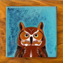 Load image into Gallery viewer, Great Horned Owl