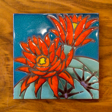 Load image into Gallery viewer, Hedgehog Cactus Desert Bloom