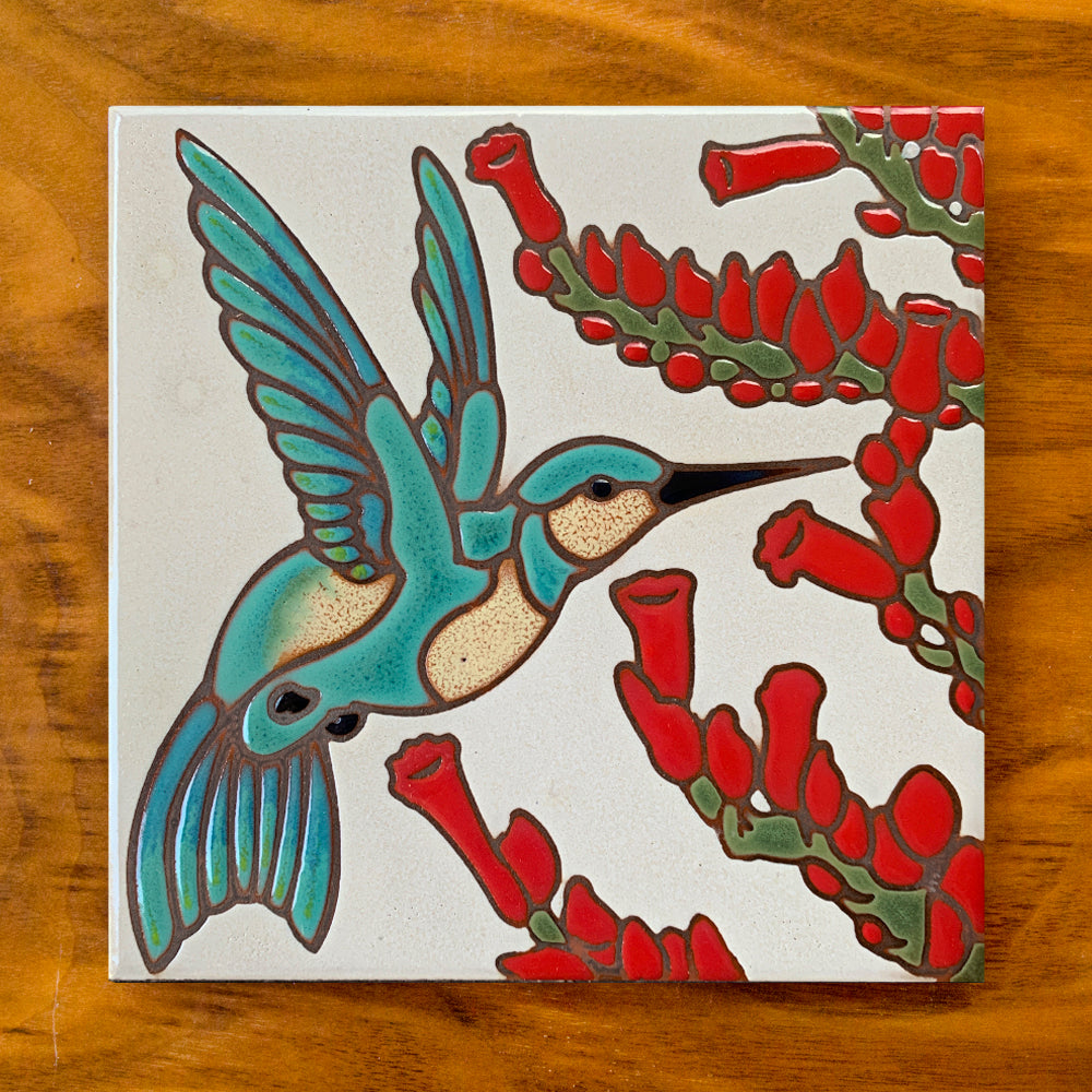 Hummingbird with Ocotillo